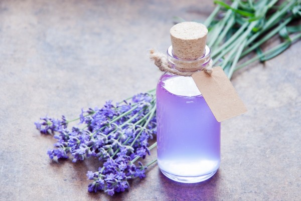Lavender Syrup